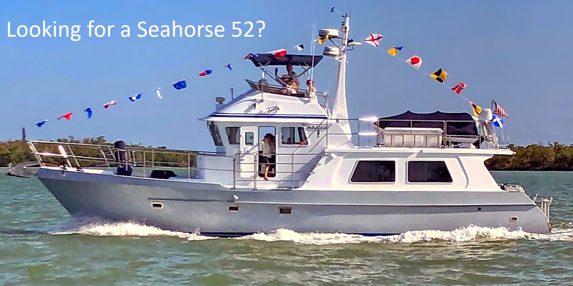 Looking for a Seahorse 52?