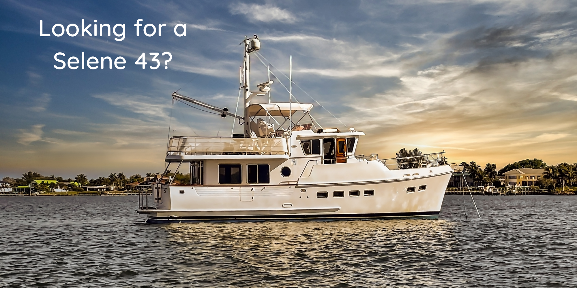 Looking for a Selene 43?