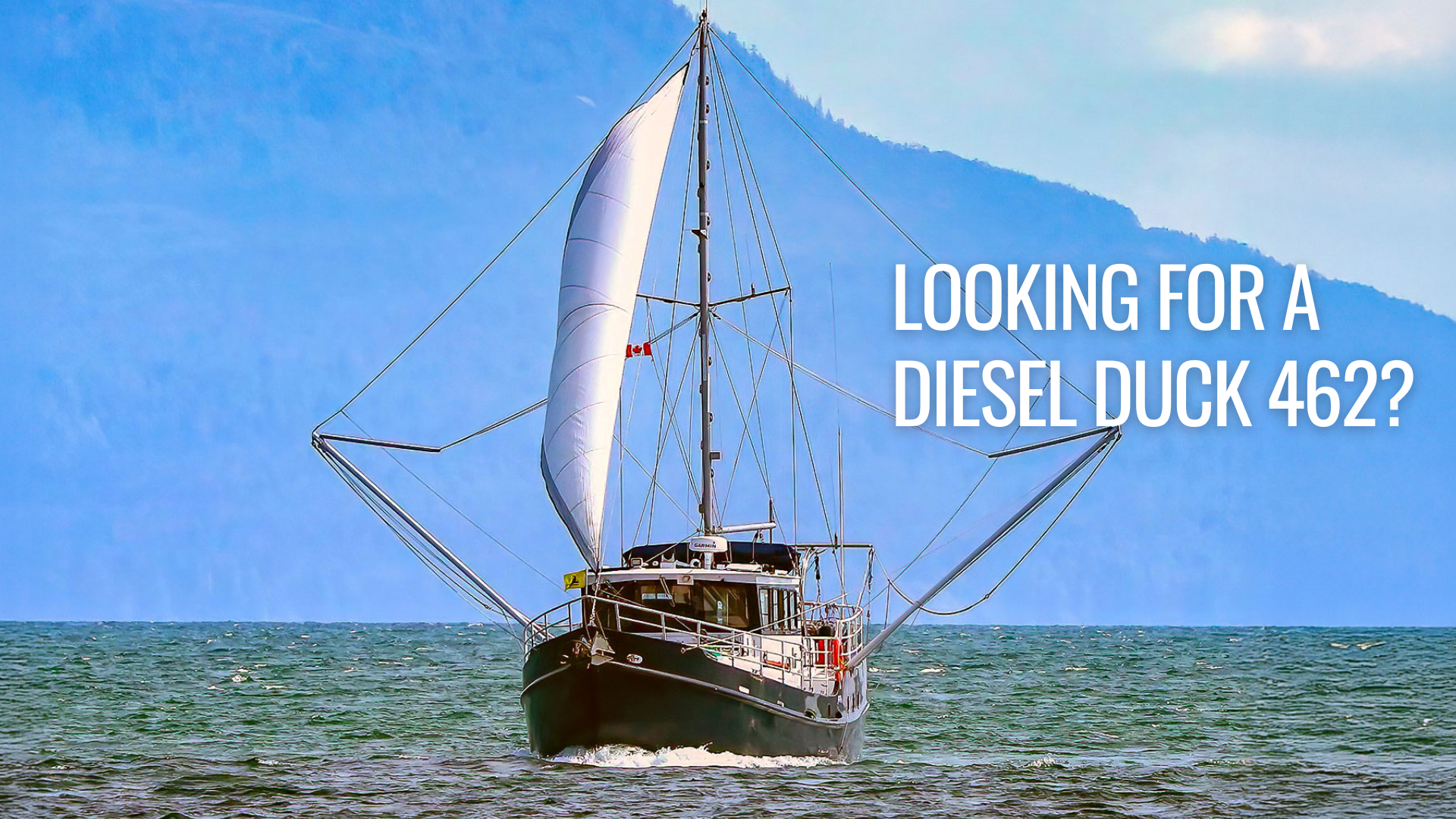 Looking for a Diesel Duck 462?