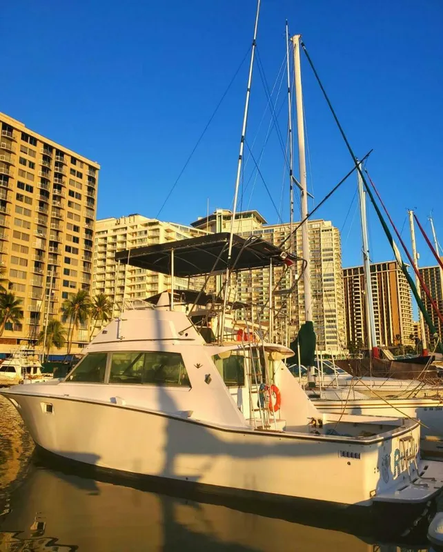 1979 Bertram 38 Convertible Sportfisher