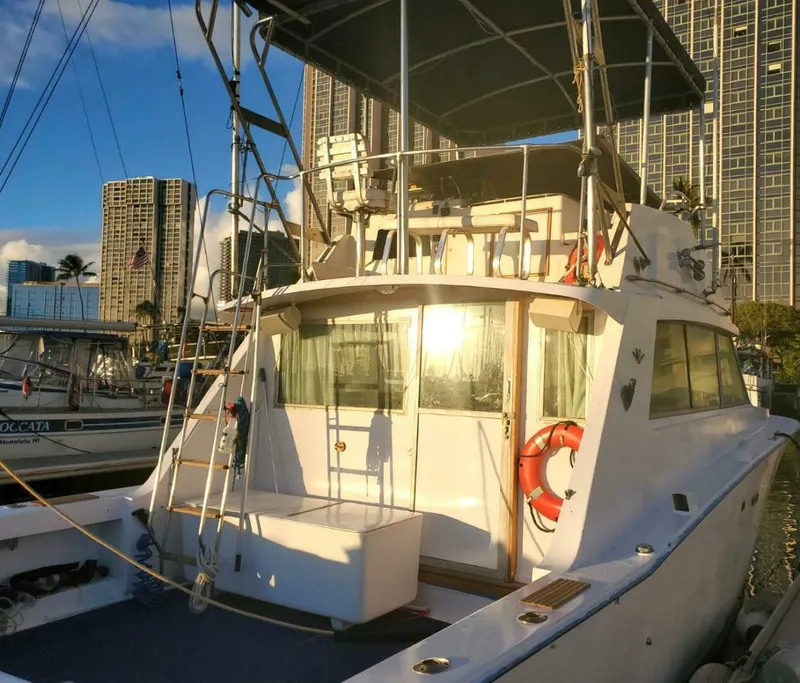 1979 Bertram 38 Convertible Sportfisher