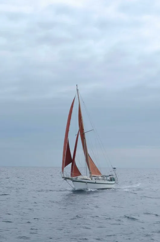 1982 Custom Tahiti Rover Steel Auxiliary Cutter