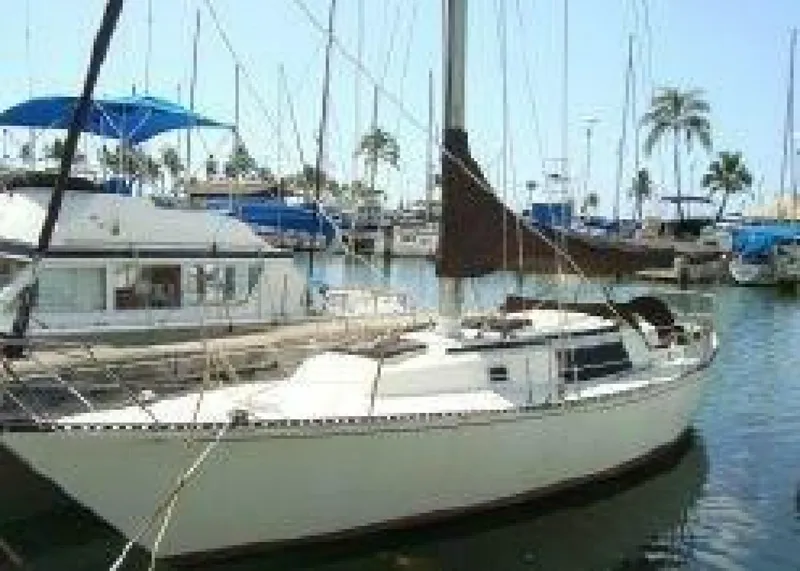 1981 Newport C and C Sloop