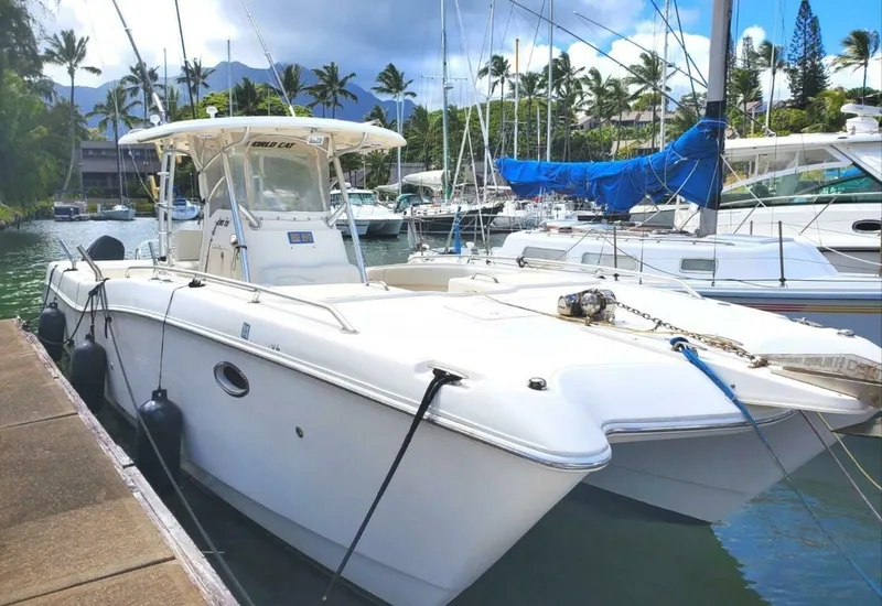 2007 World Cat 330 TE