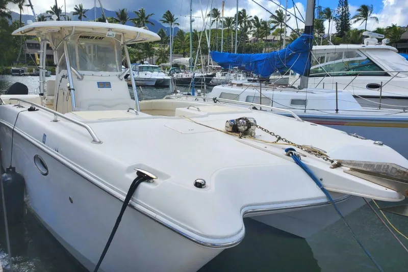 2007 World Cat 330 TE