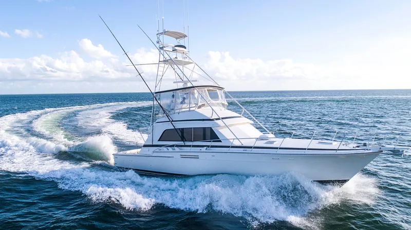 1989 Bertram Sport Fisherman