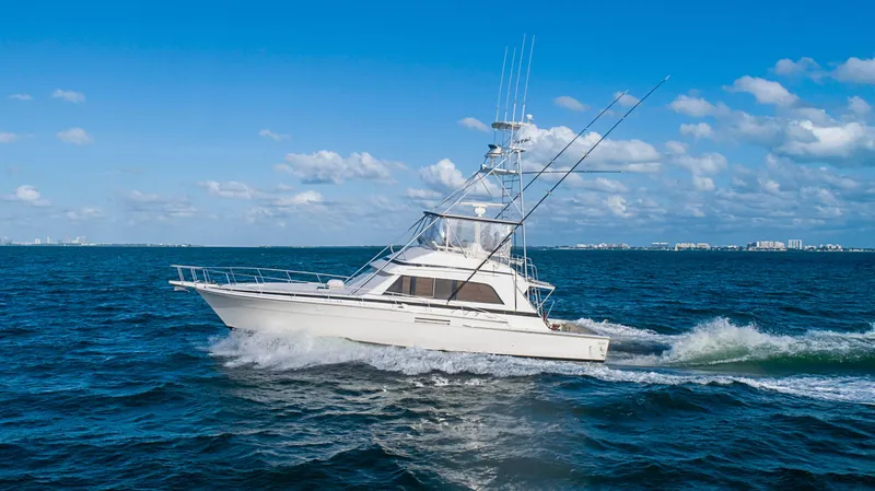 1989 Bertram Sport Fisherman