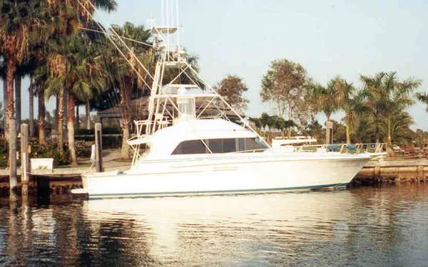 1988 Bertram Convertible