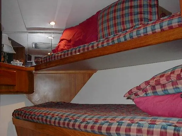1995 Viking Convertible