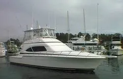 2002 Bertram Convertible