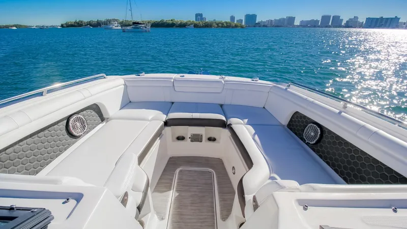 2017 Sea Ray SDX 290 Outboard