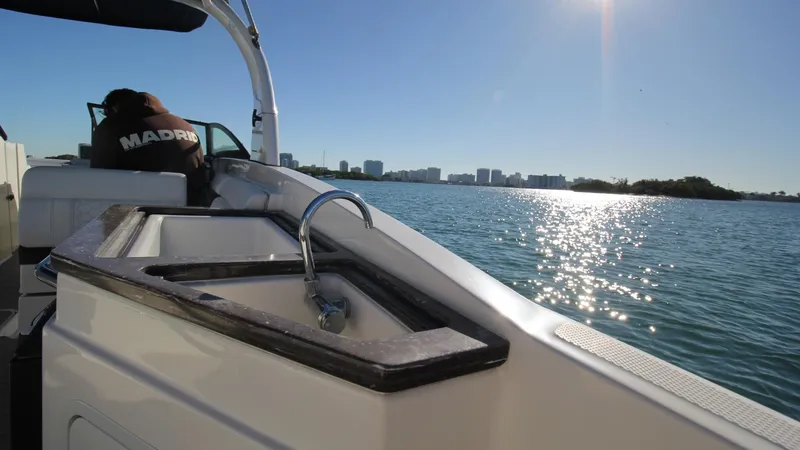 2017 Sea Ray SDX 290 Outboard