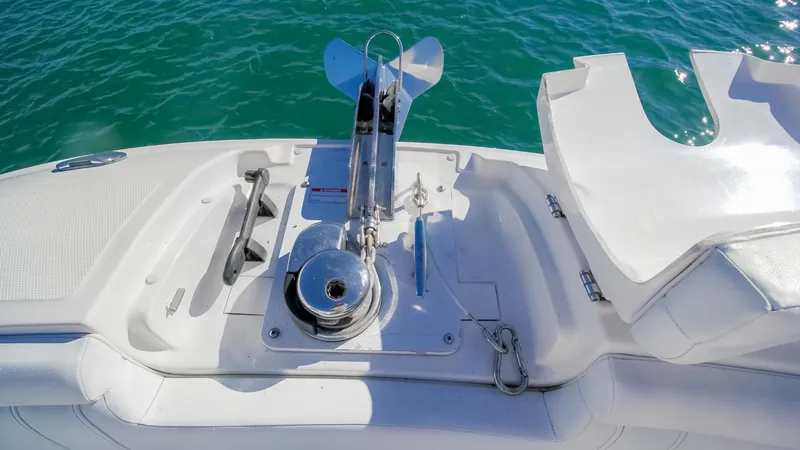 2017 Sea Ray SDX 290 Outboard