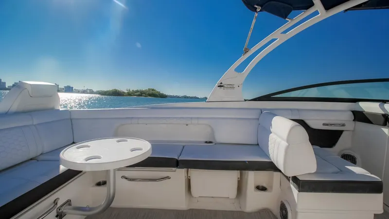 2017 Sea Ray SDX 290 Outboard