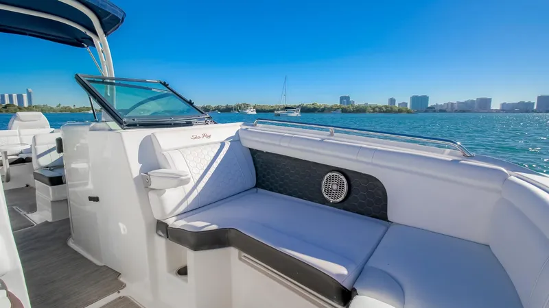 2017 Sea Ray SDX 290 Outboard