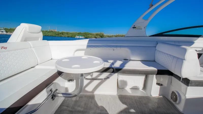 2017 Sea Ray SDX 290 Outboard