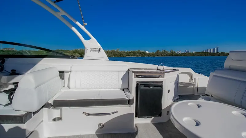 2017 Sea Ray SDX 290 Outboard