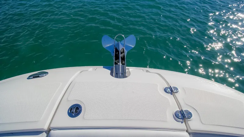 2017 Sea Ray SDX 290 Outboard