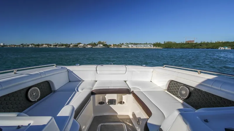 2017 Sea Ray SDX 290 Outboard