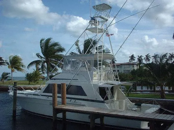 2000 Bertram 54