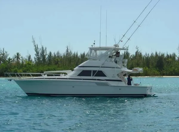 1996 Bertram Convertible