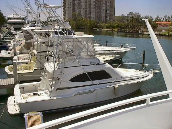 2001 Bertram Convertible w/ TOWER