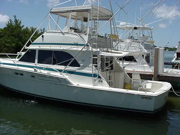 1976 Bertram 46 Convertible