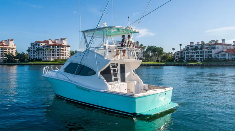2008 Bertram 410