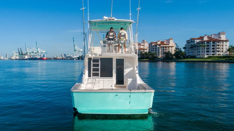 2008 Bertram 410