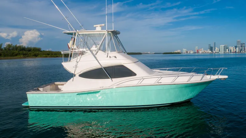 2008 Bertram 410