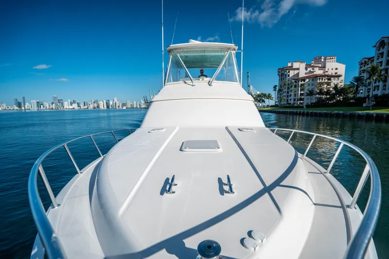 2008 Bertram 410