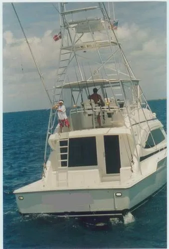 2001 Bertram 