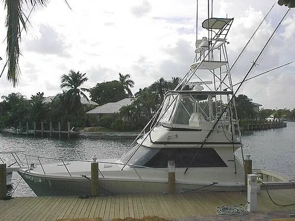 1990 Viking Convertible