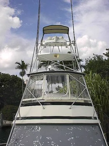 1990 Viking Convertible