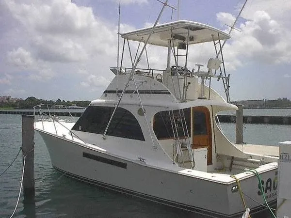 1987 Jersey 36 Convertible