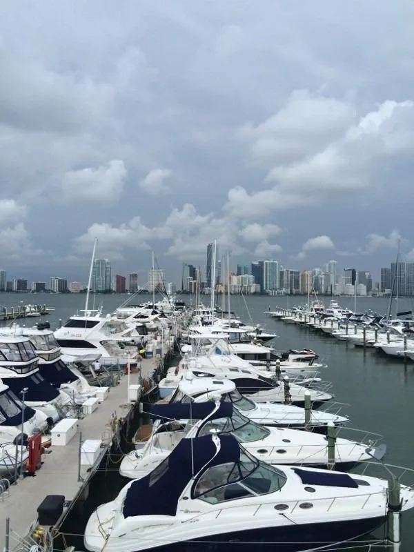 2003 Luhrs Convertible with tower