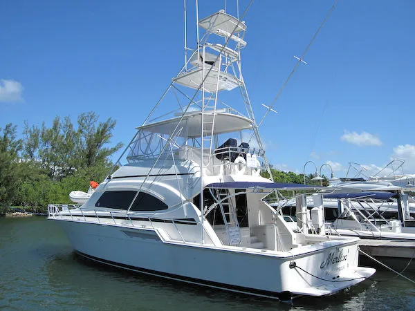 2002 Bertram FULL TOWER