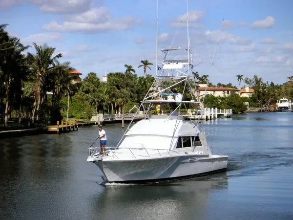 1984 Bertram Convertible