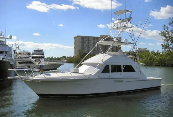 1984 Bertram Convertible