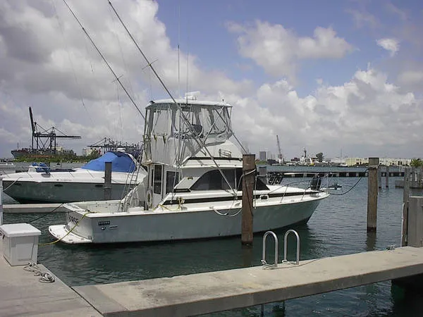 1982 Bertram 35 Convertible