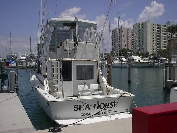 1982 Bertram 35 Convertible