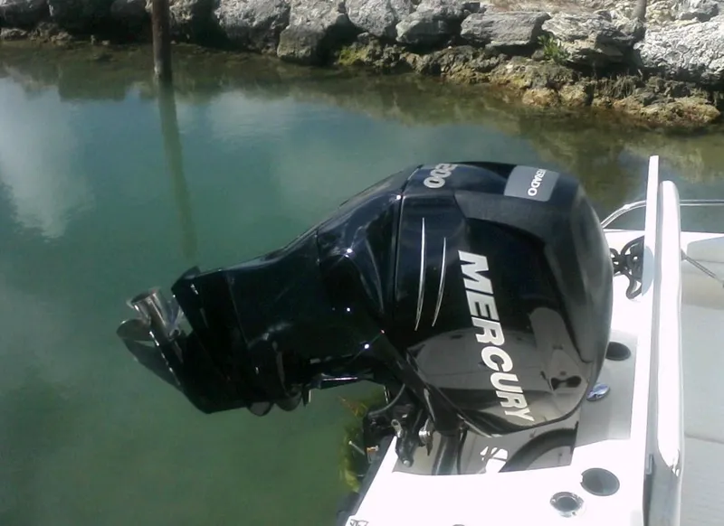 2011 Boston Whaler 200 Dauntless