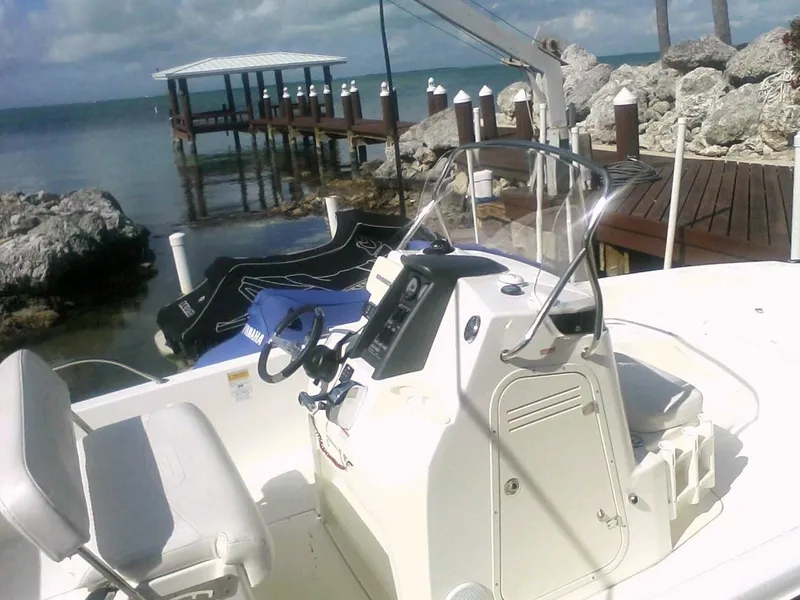 2011 Boston Whaler 200 Dauntless