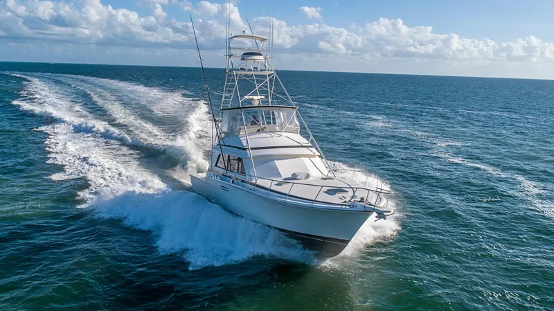 1989 Bertram Sport Fisherman