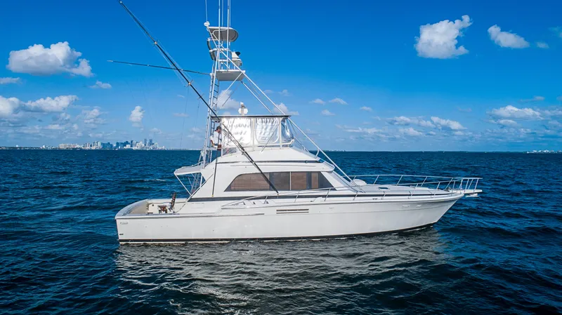 1989 Bertram Sport Fisherman