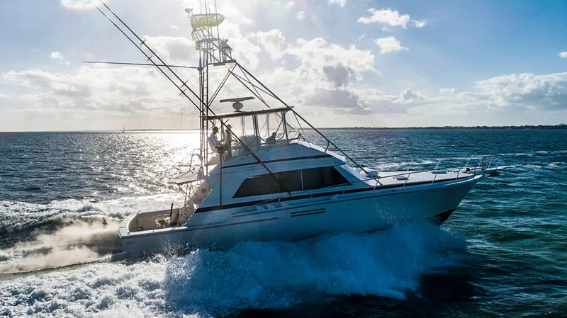 1989 Bertram Sport Fisherman