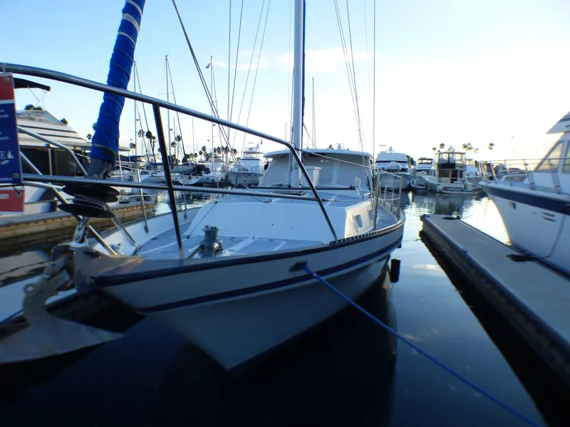 Port Bow