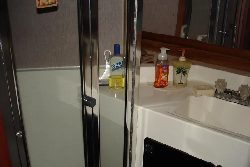 Guest shower