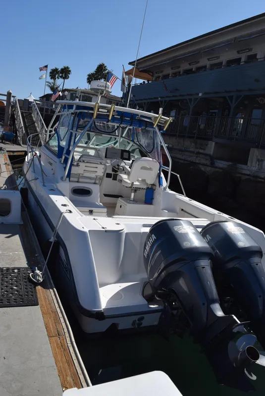At The Dock