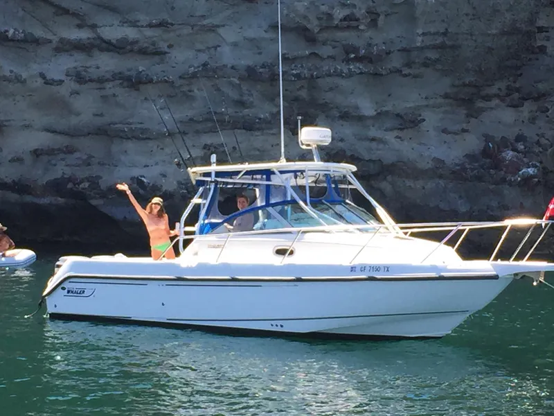 In Pelican Harbor